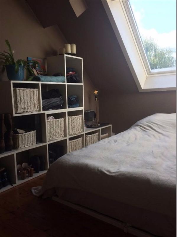 Gezellig appartement