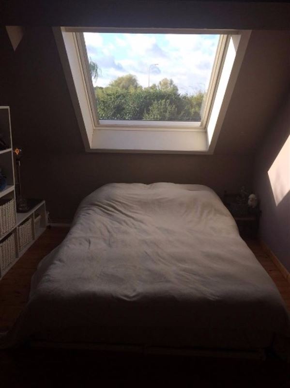 Gezellig appartement