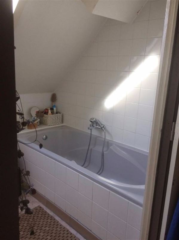Gezellig appartement