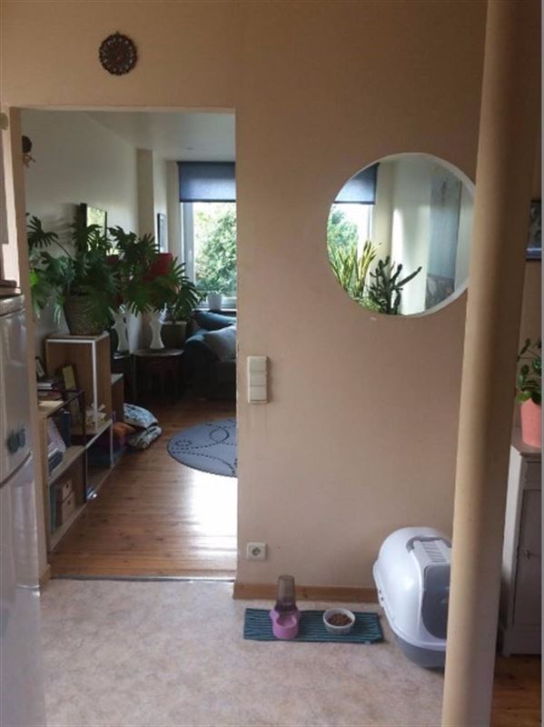 Gezellig appartement