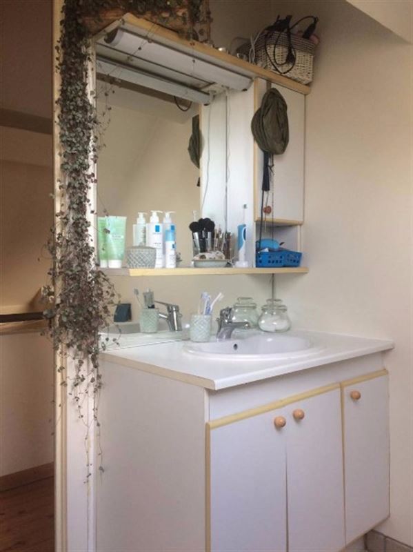 Gezellig appartement