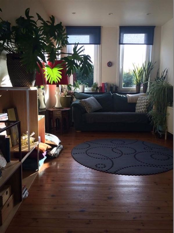 Gezellig appartement