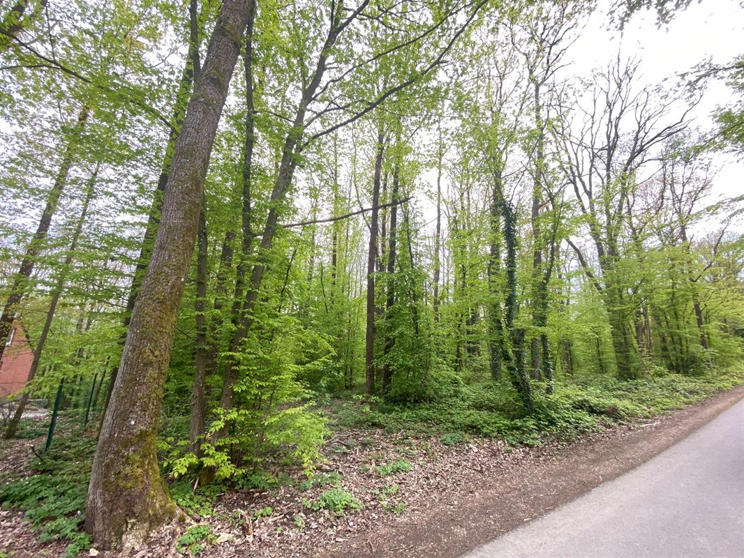 Magnifique terrain disposant d'une façade de 45 mètres !