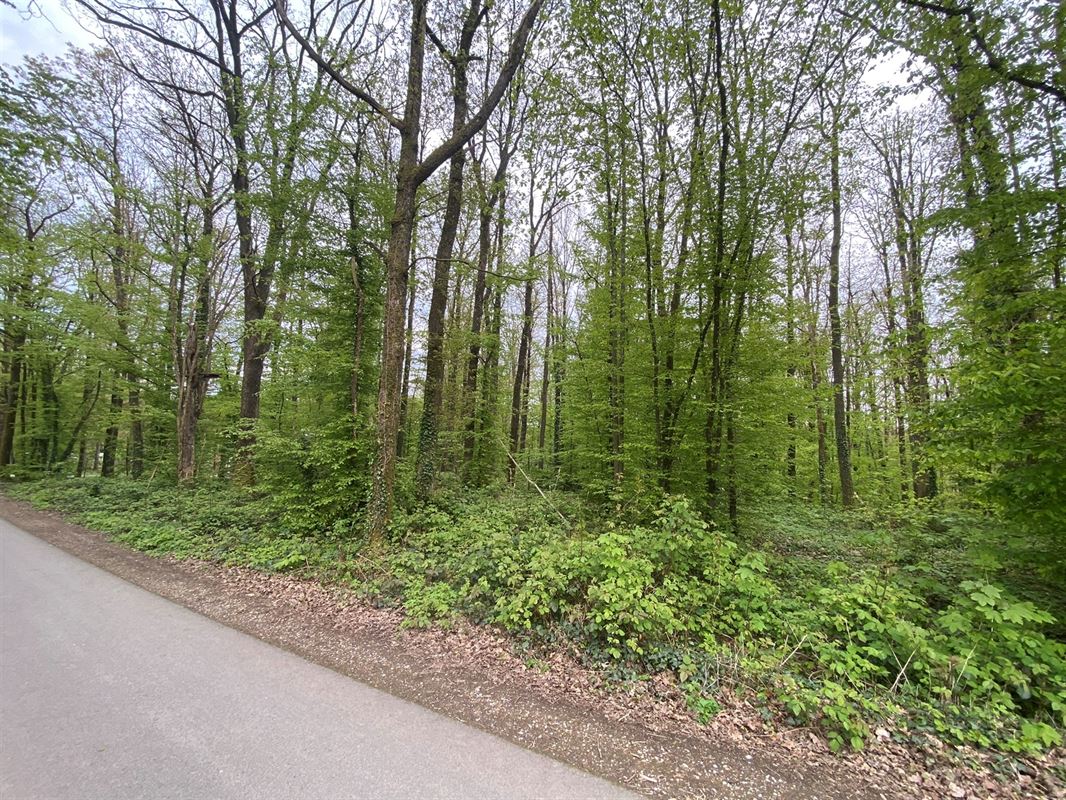 Magnifique terrain disposant d'une façade de 45 mètres !