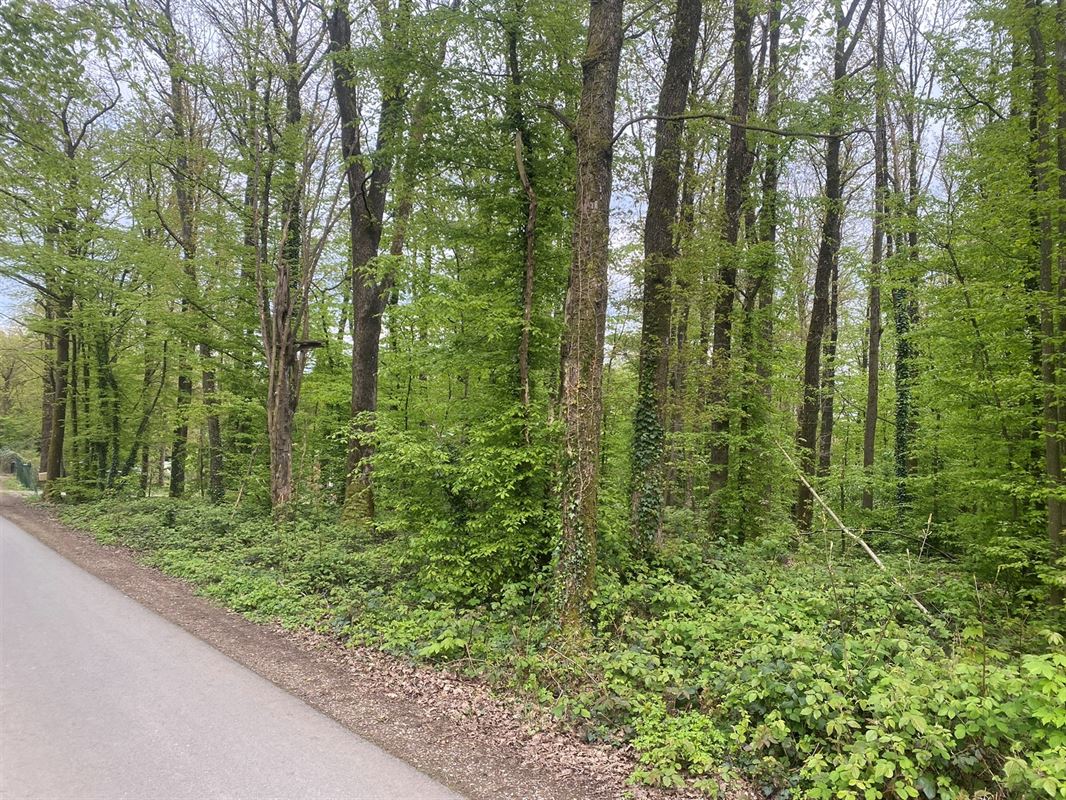 Magnifique terrain disposant d'une façade de 45 mètres !