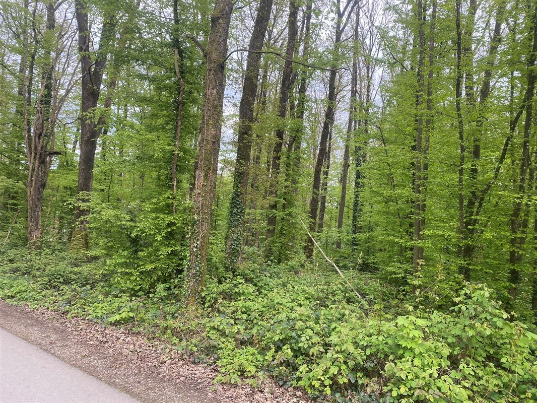 Magnifique terrain disposant d'une façade de 45 mètres !