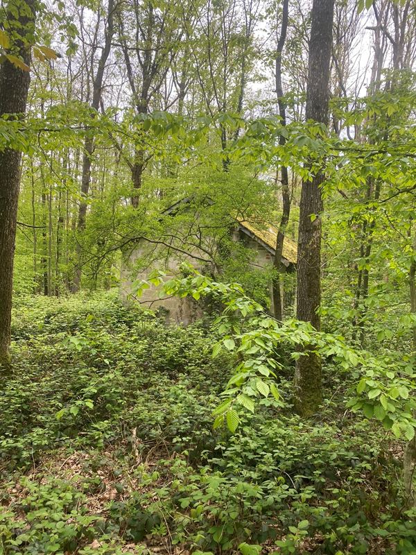 Magnifique terrain disposant d'une façade de 45 mètres !