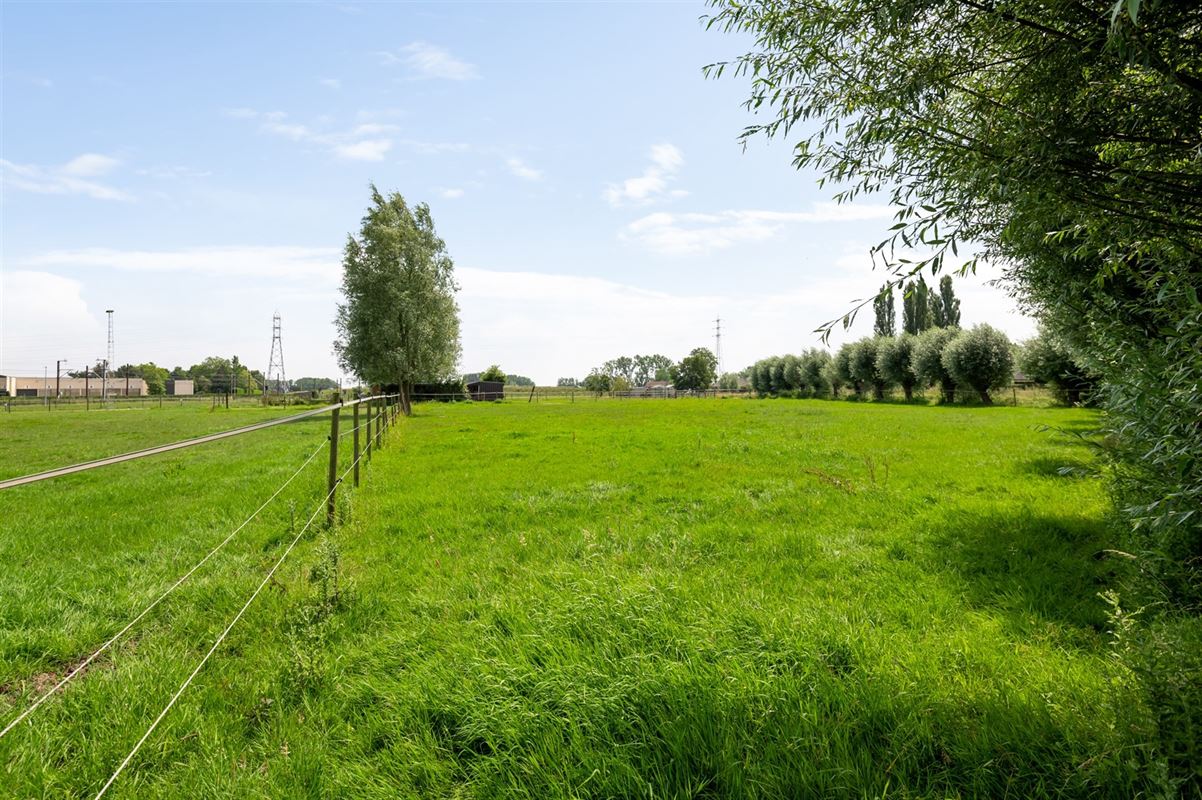 Prachtige paardenweide met stallen en piste