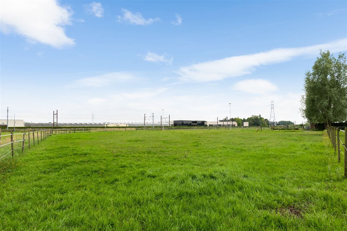 Prachtige paardenweide met stallen en piste