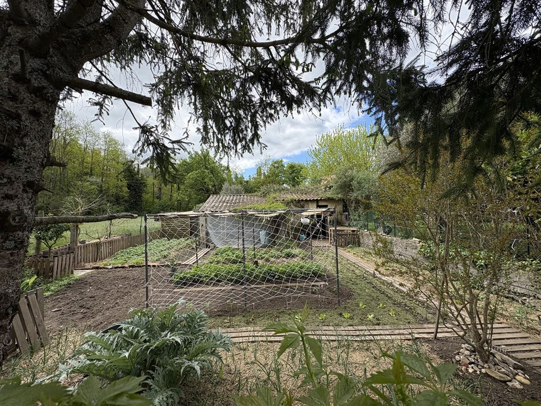 Superbe mas avec gîte et studio sur 4 hectares