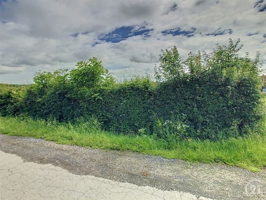 Terrain à bâtir (Projets)