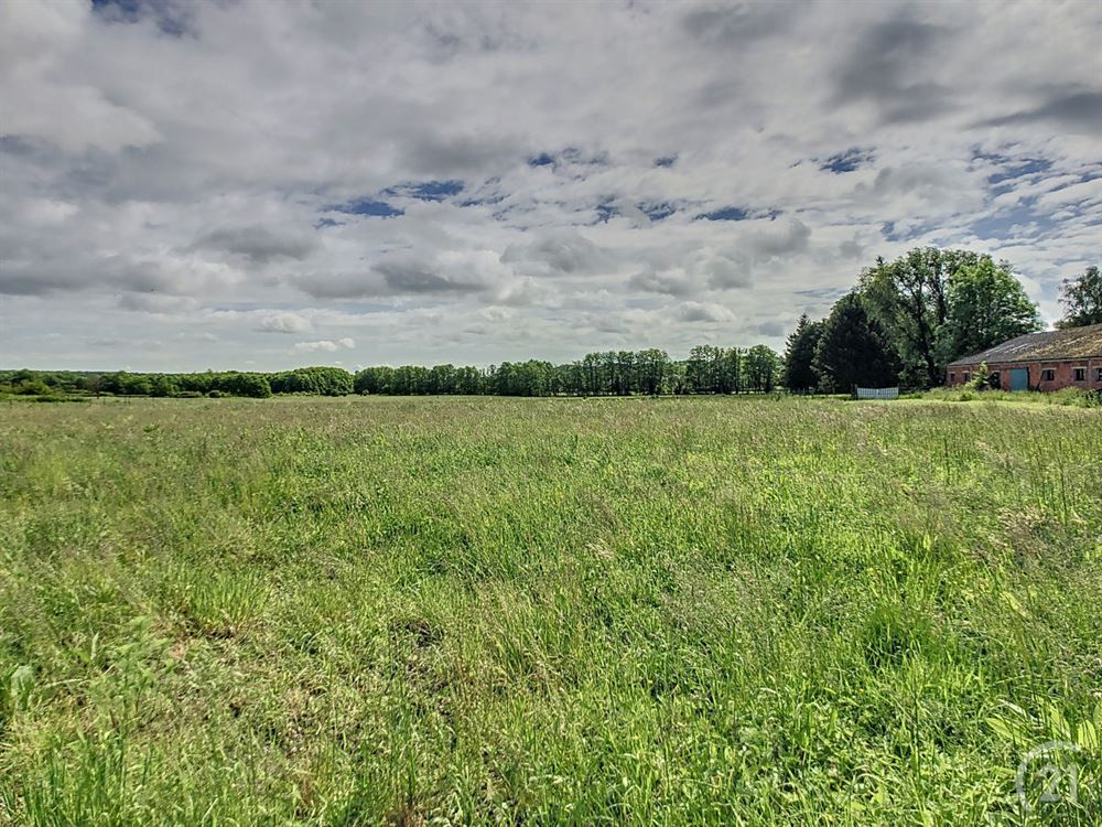 Terrain à bâtir (Projets)
