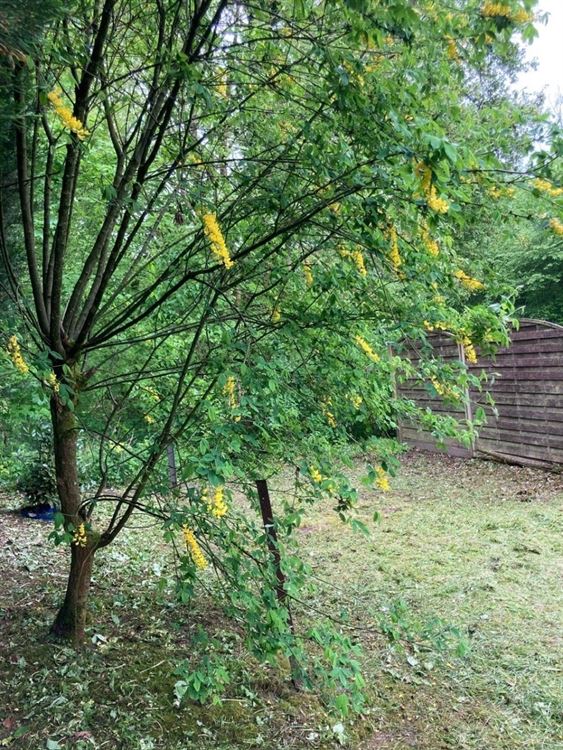 MAISON DE PLAIN-PIED 2 CHAMBRES - GARAGE - JARDIN