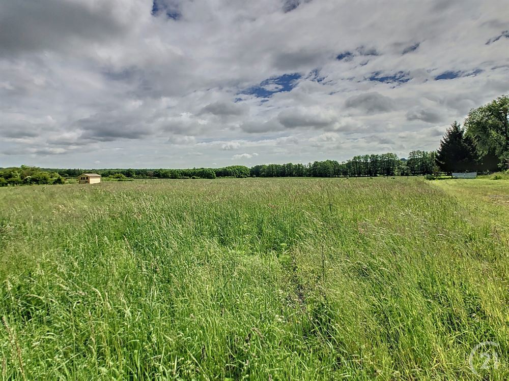 Terrain à bâtir (Projets)
