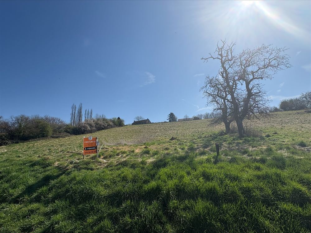 TERRAIN À BÂTIR +- 20 ares