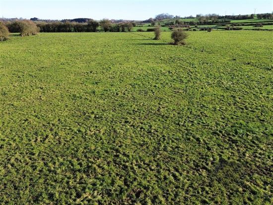 Superbe terrain à bâtir avec pâtures - 68,50 ares