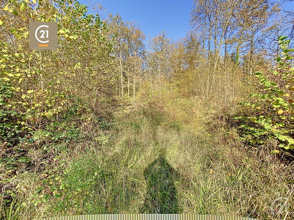 Terrain à bâtir