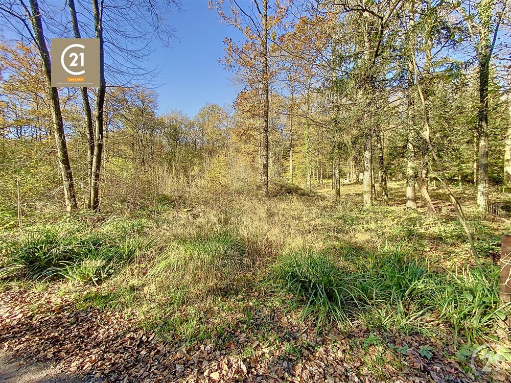 Terrain à bâtir
