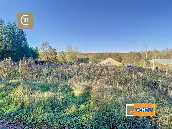 Joli terrain arboré de 12,5 ares
