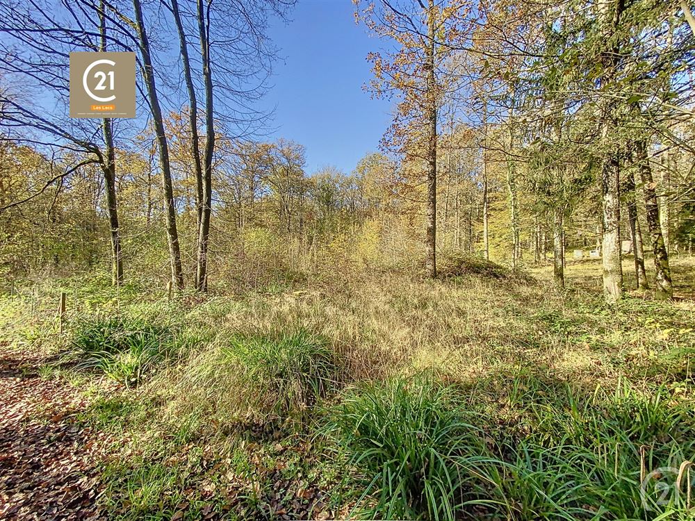 Terrain à bâtir
