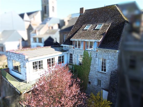 SUPERBE MAISON DE MAÎTRE COMPOSÉE DE DEUX HABITATIONS