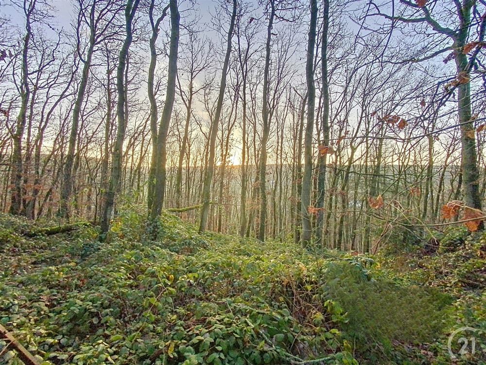 Terrain à bâtir