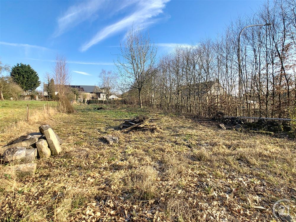 Terrain à bâtir