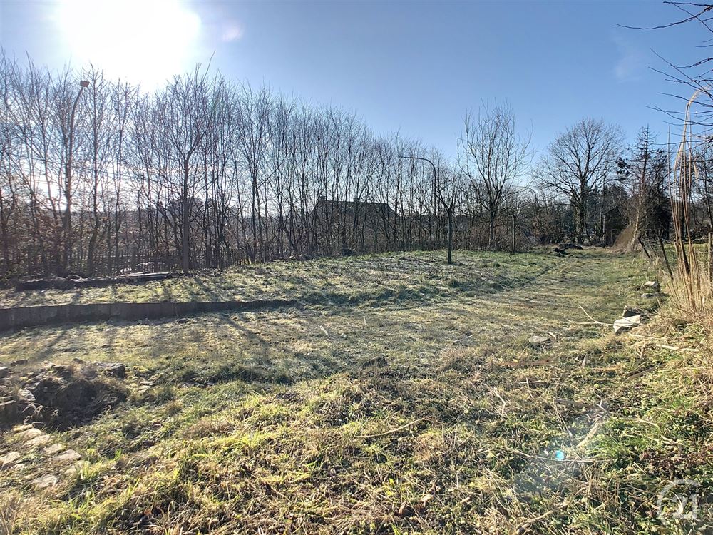 Terrain à bâtir