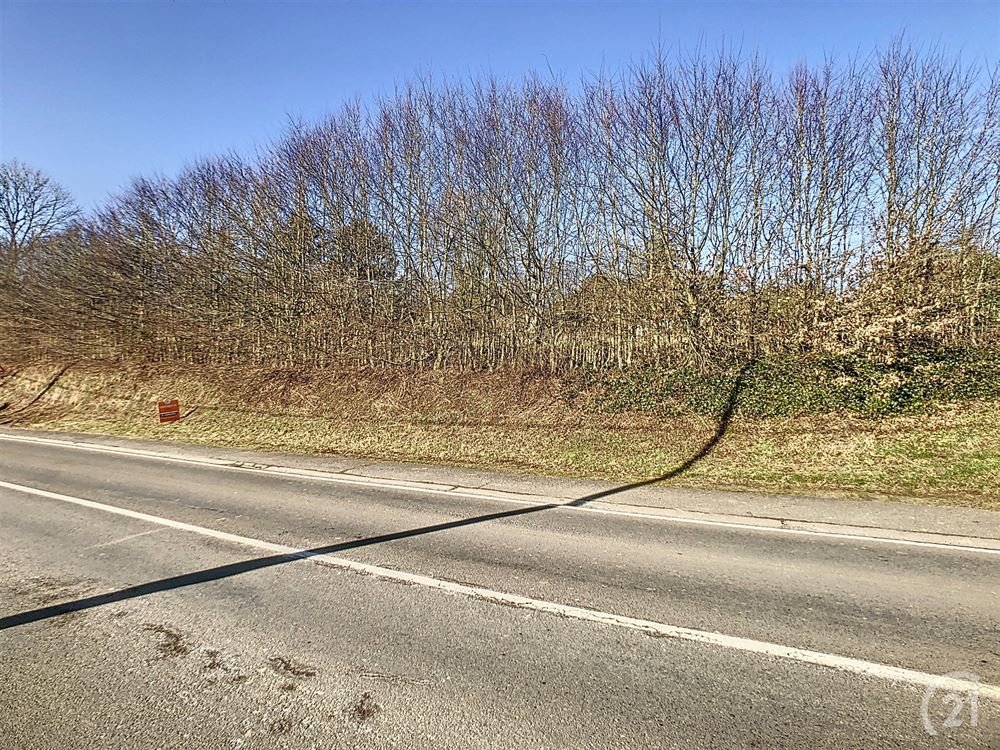 Terrain à bâtir