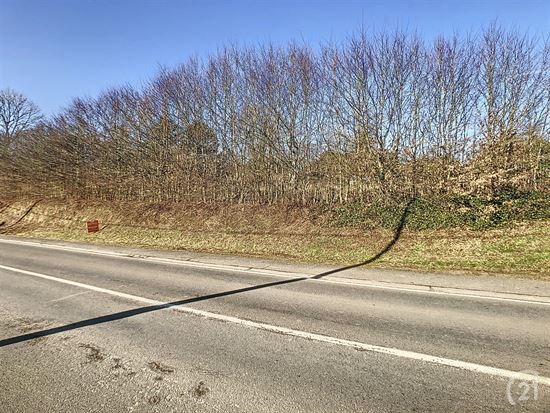 Terrain à bâtir