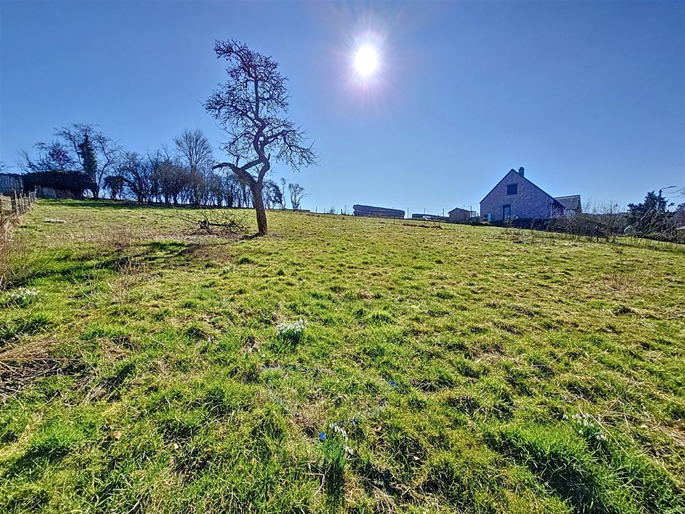 Magnifique terrain à bâtir de 9,54 ares (19M de façade)