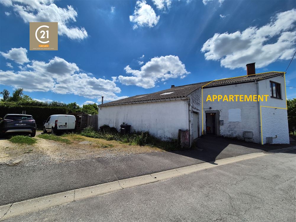 ENSEMBLE MAISON AVEC JARDIN ET APPARTEMENT