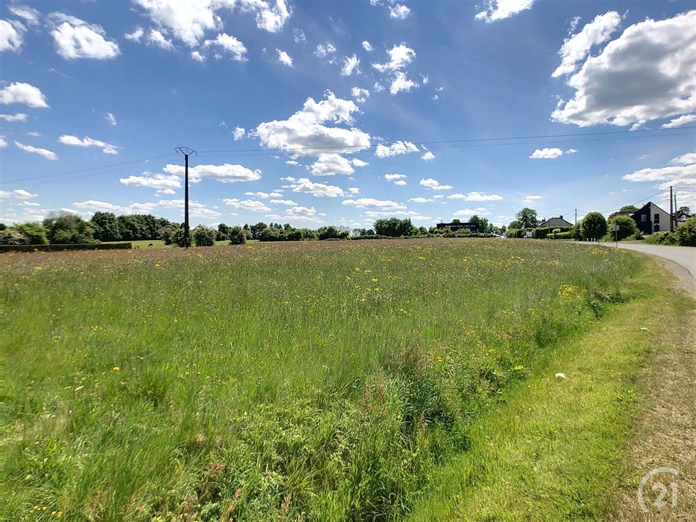 Terrain à bâtir