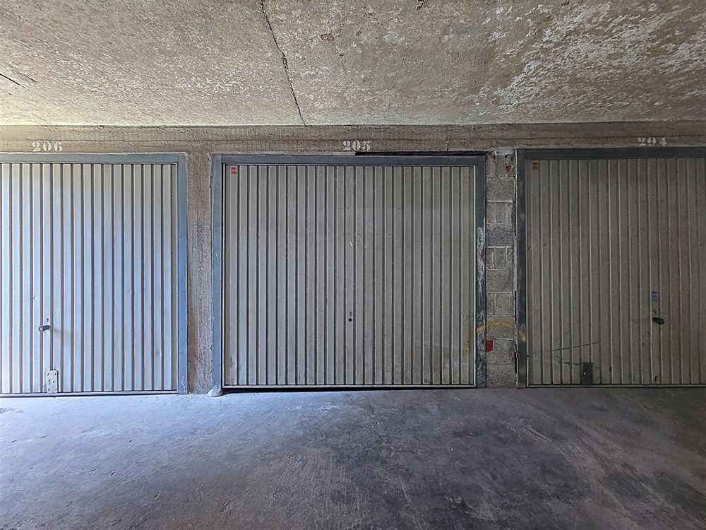 APPARTEMENT + GARAGE