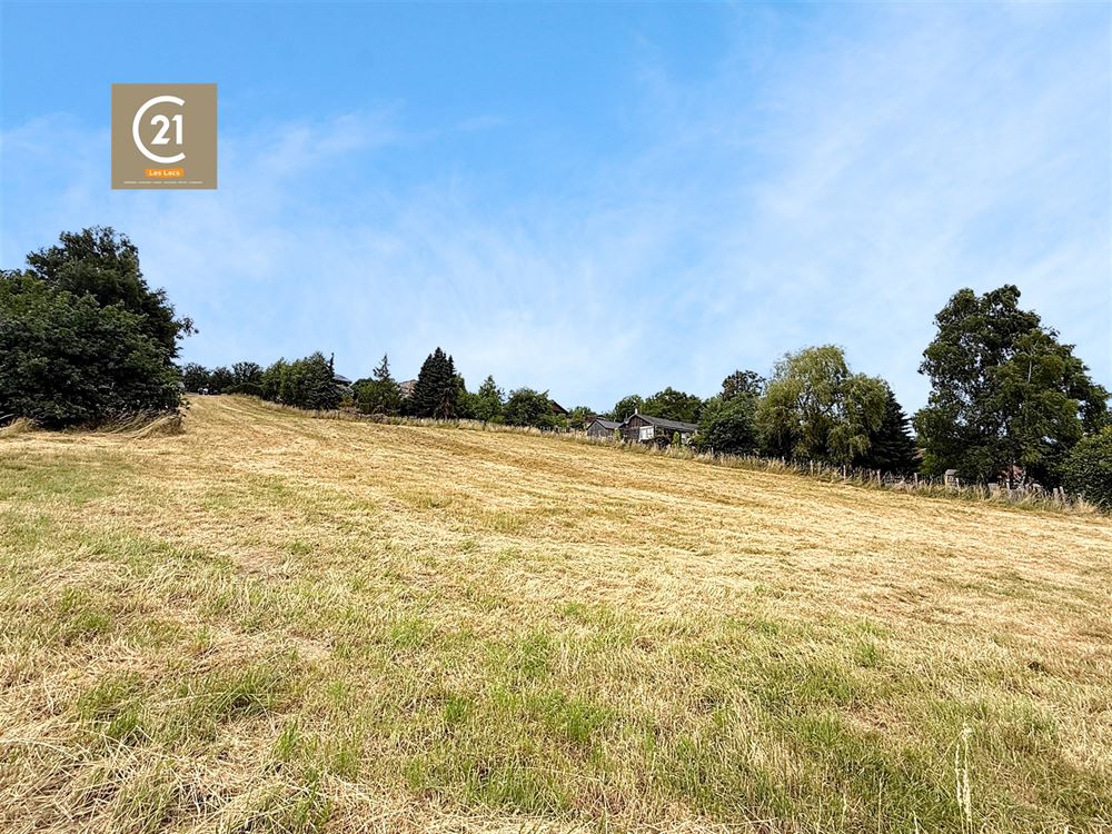SUPERBE TERRAIN DE 12,42 ARES - PERMIS ACCORDÉ - VILLA 4 FAÇADES