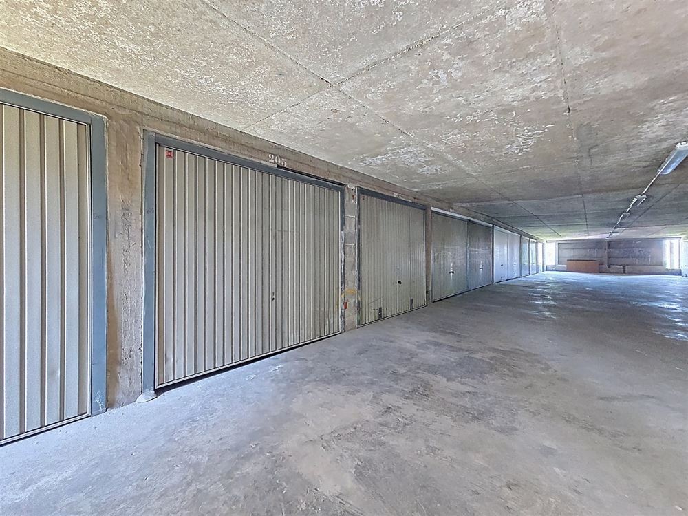 APPARTEMENT + GARAGE