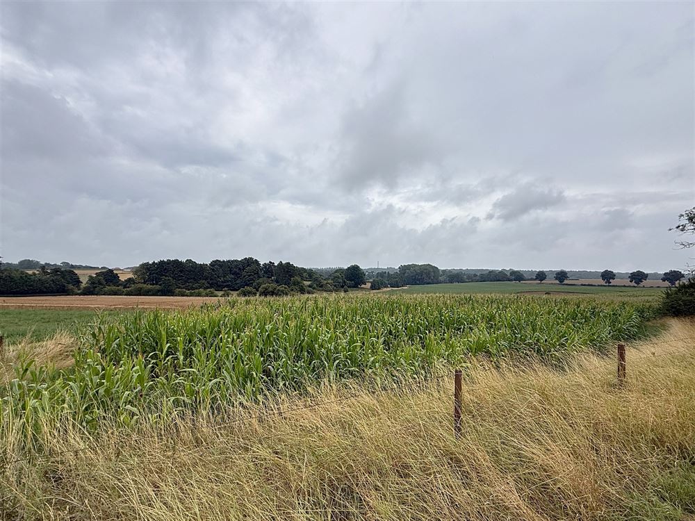 Terrain à bâtir