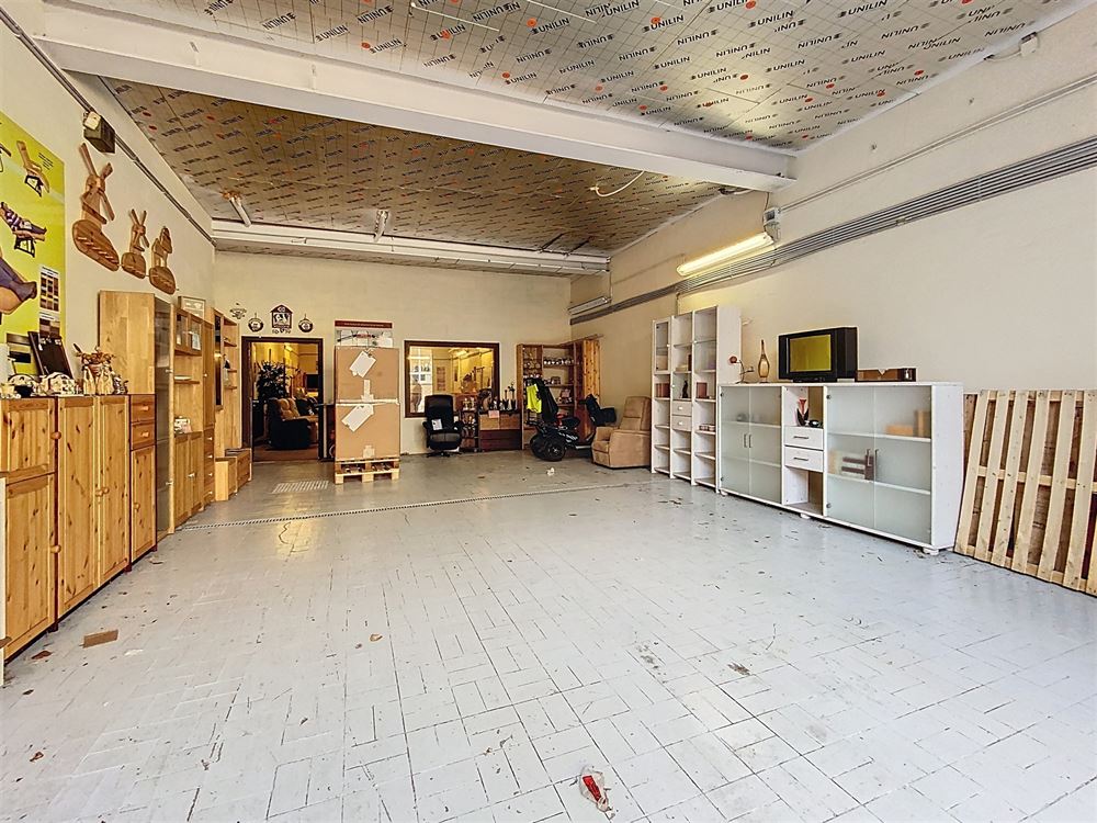APPARTEMENT + GARAGE + ENTREPOTS