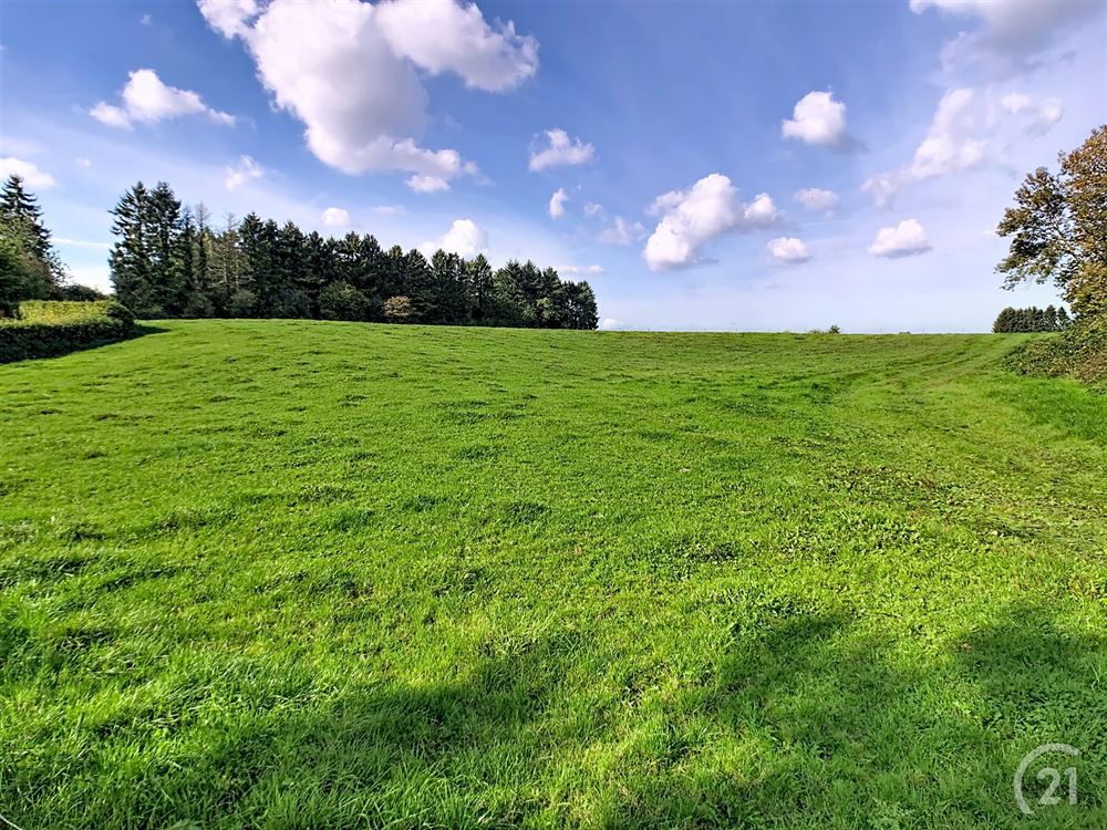 Terrain à bâtir