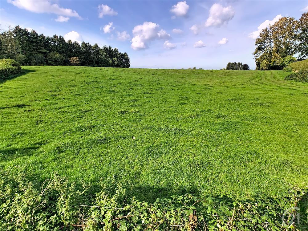 Terrain à bâtir