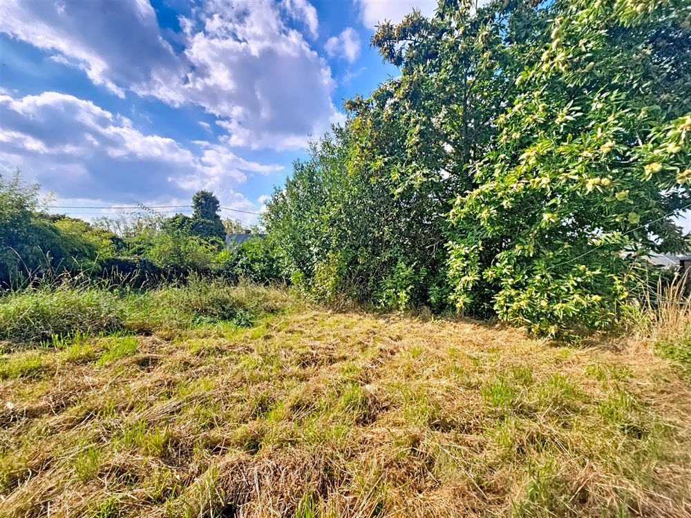 JOLIE MAISON - GRAND JARDIN - REMISE - 1 CH