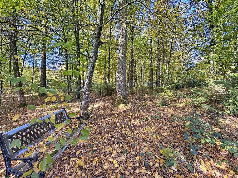 PETIT COIN DE PARADIS PROCHE DES LACS DE L’EAU D’HEURE 