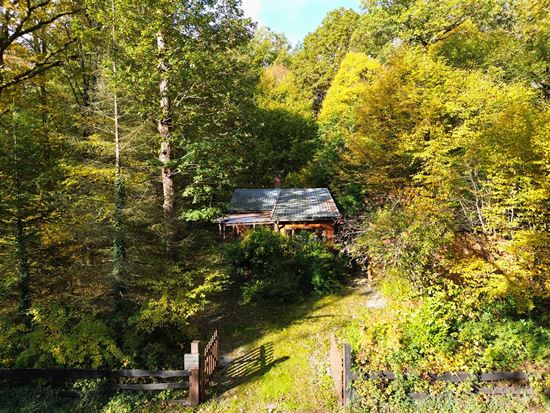 PETIT COIN DE PARADIS PROCHE DES LACS DE L’EAU D’HEURE 