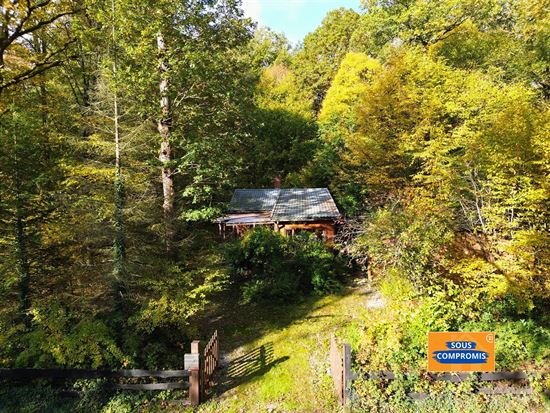 PETIT COIN DE PARADIS PROCHE DES LACS DE L’EAU D’HEURE