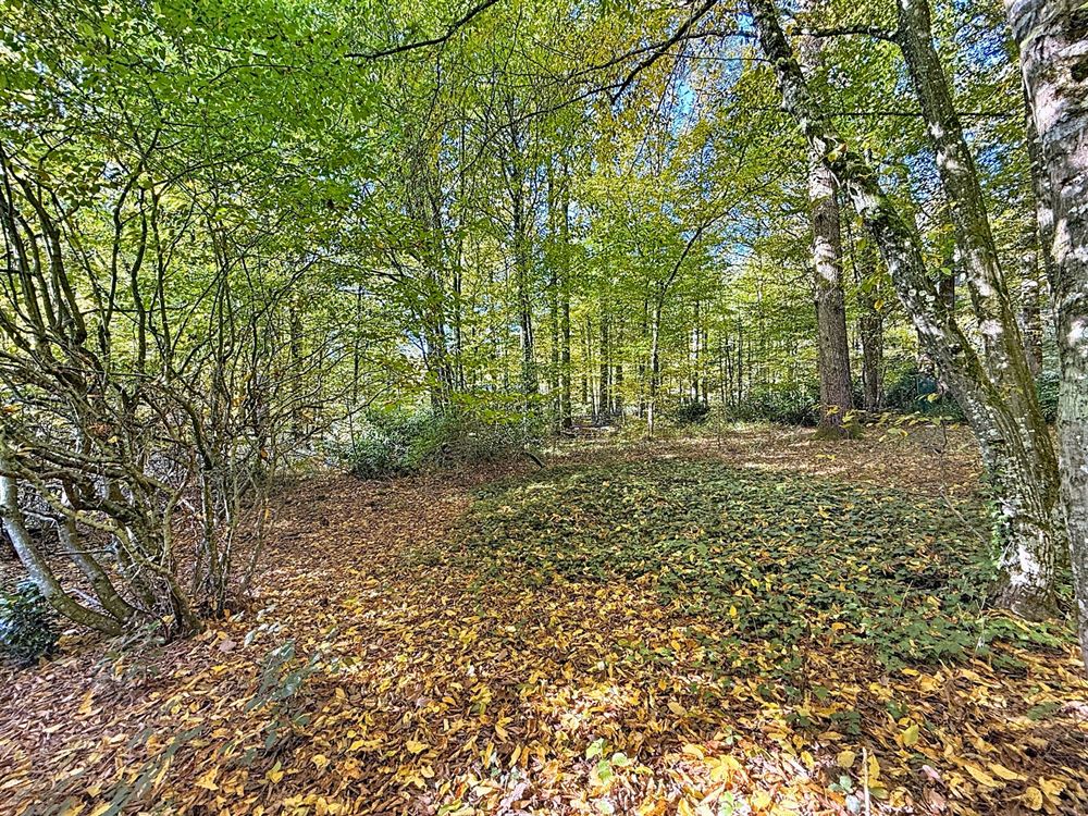 PETIT COIN DE PARADIS PROCHE DES LACS DE L’EAU D’HEURE 
