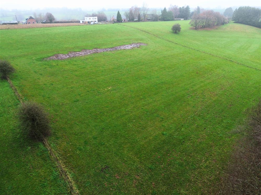 TERRES AGRICOLES + PETIT BOIS AVEC PERMIS POUR ÉTANG