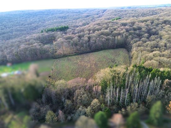 ENSEMBLE DE TERRAINS À BÂTIR 1,24 HECTARE - EXPOSITION OUEST