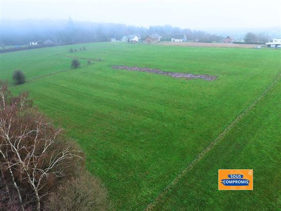 TERRES AGRICOLES + PETIT BOIS AVEC PERMIS POUR ÉTANG