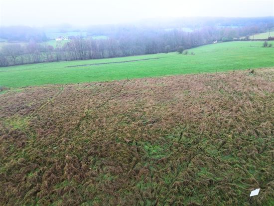 SUPERBE TERRAIN À BÂTIR 11,94 ARES - VUE PANORAMIQUE