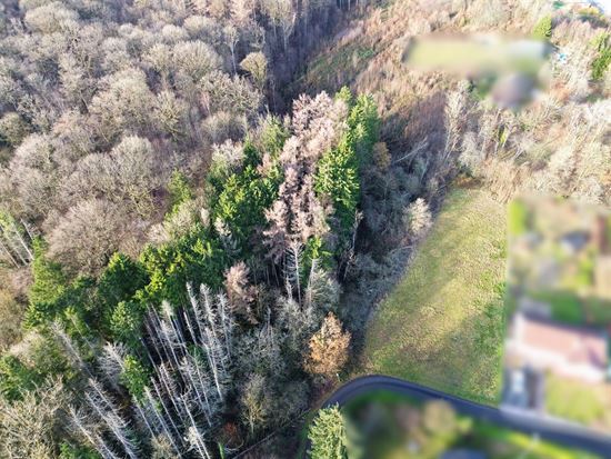 TERRAIN À BÂTIR 25,43 ARES - EXPOSITION PLEIN OUEST